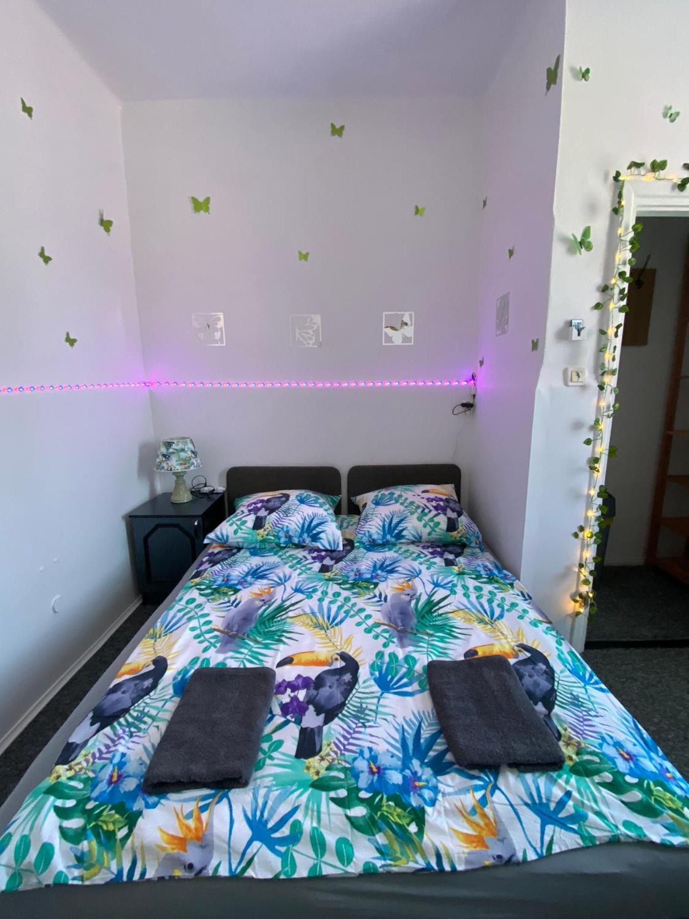 Jungle Rooms グダニスク 部屋 写真